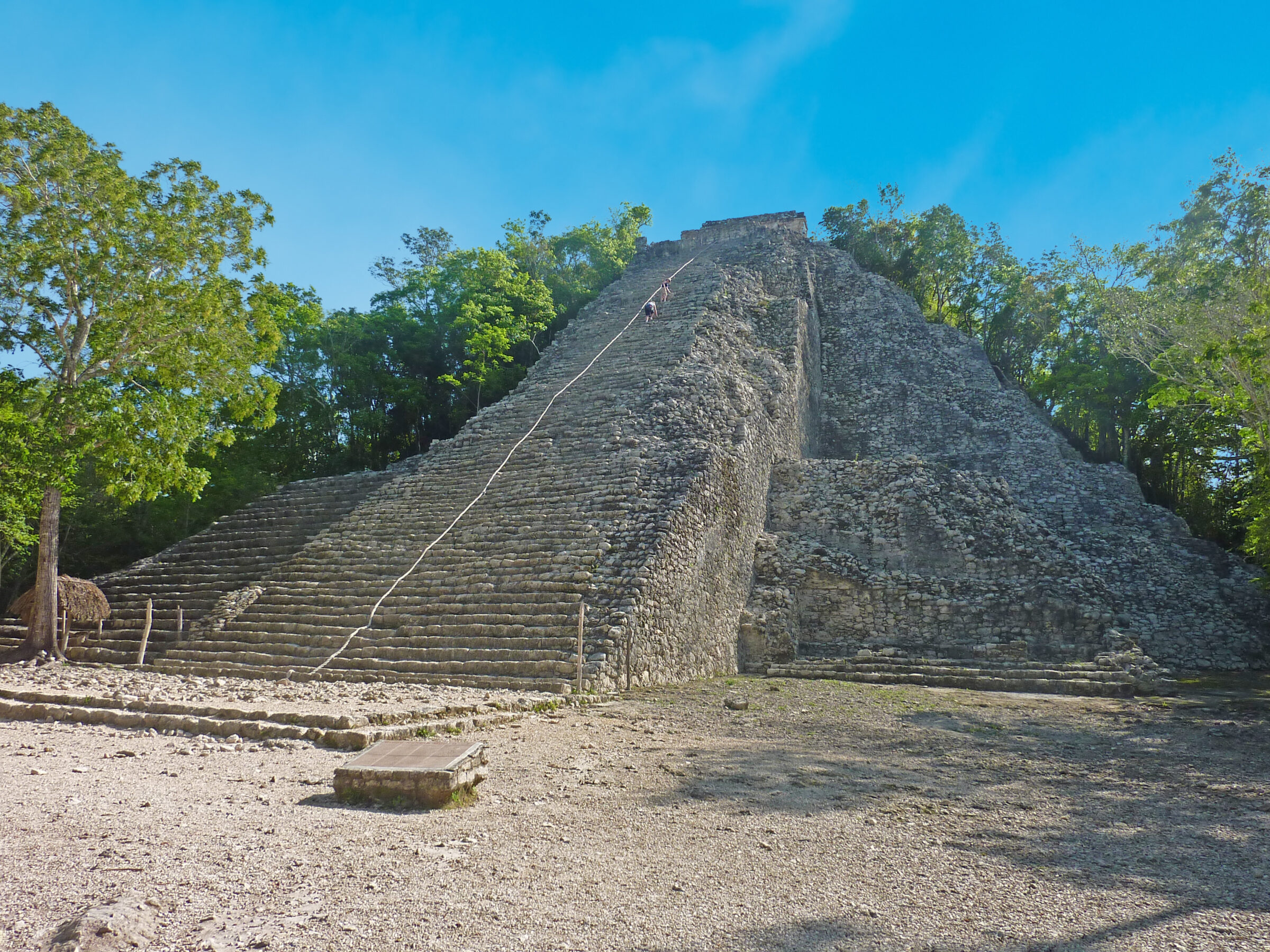 Pyramide Nohoch Mul à Cobá, entourée de forêt dense sous un ciel bleu clair, sans visiteurs.