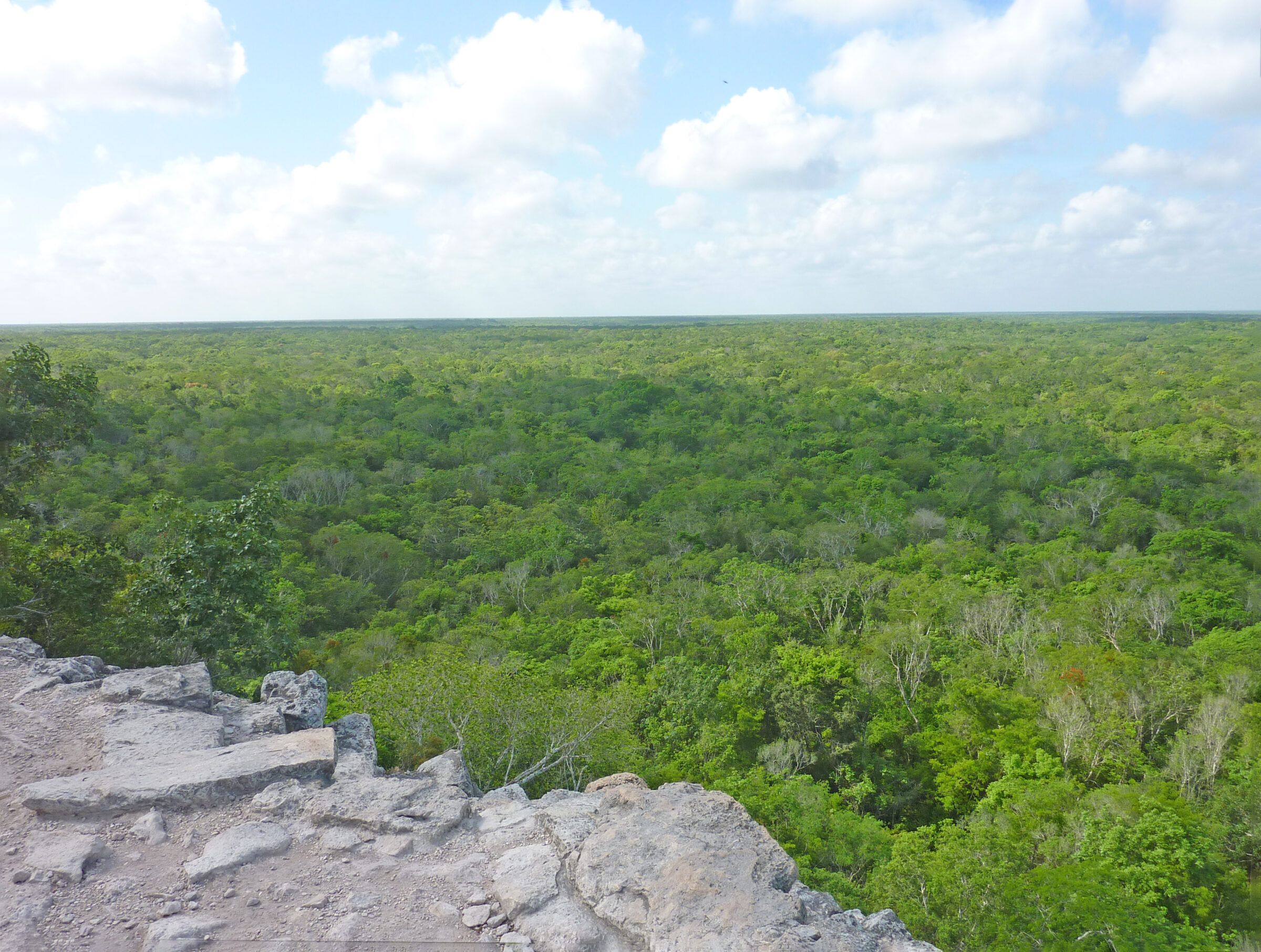 Vue panoramique sur la jungle verdoyante du Yucatán depuis les ruines mayas de Cobá au Mexique